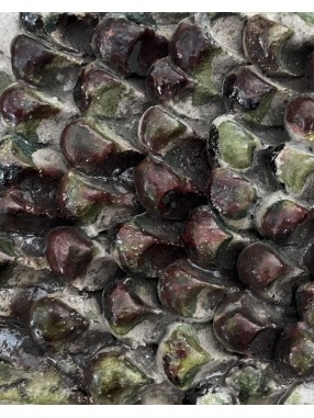 POSSON LUSTRE BI-COLOR