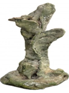 CACTUS  EN RAKU