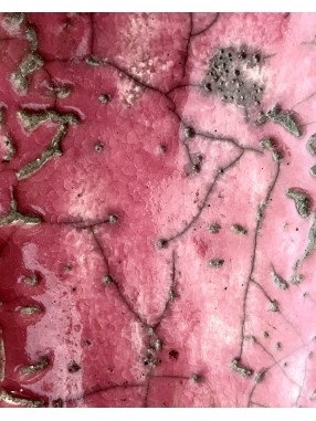 CHIENNE ROSY   EN RAKU