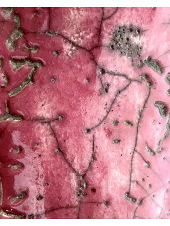 CHIENNE ROSY   EN RAKU