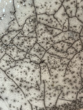 POT POUR PLANTE EN RAKU