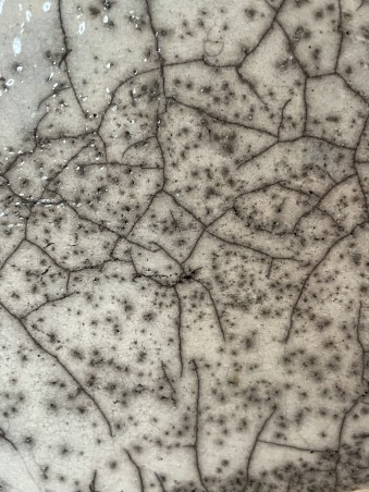 POT POUR PLANTE EN RAKU