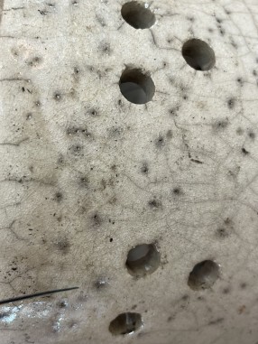 POT POUR PLANTE EN RAKU